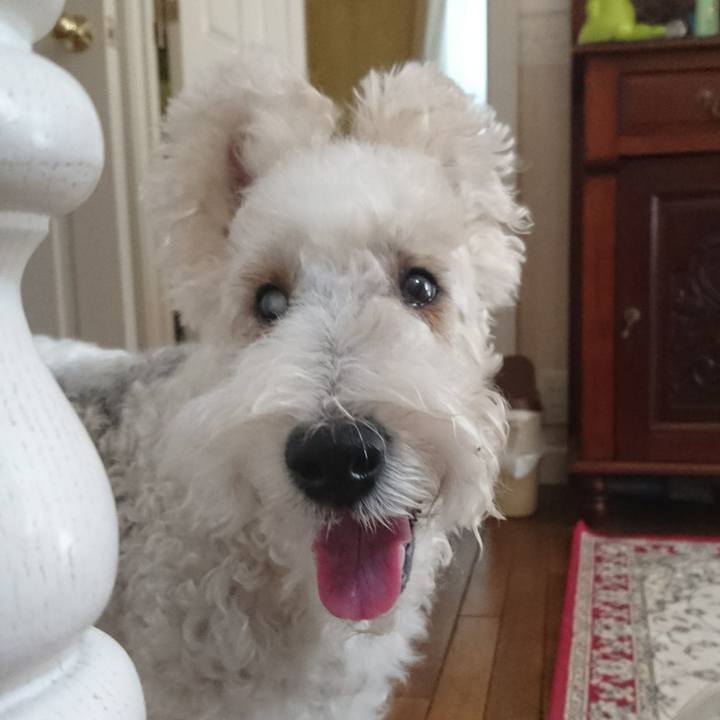 91c803a7 b9b1 4167 8d7c 6f8dd54743d6