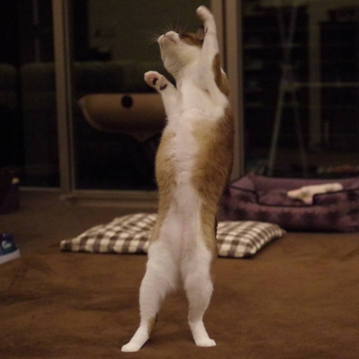 91c864aa 6a49 4fd2 933e 4e3745cc87fb