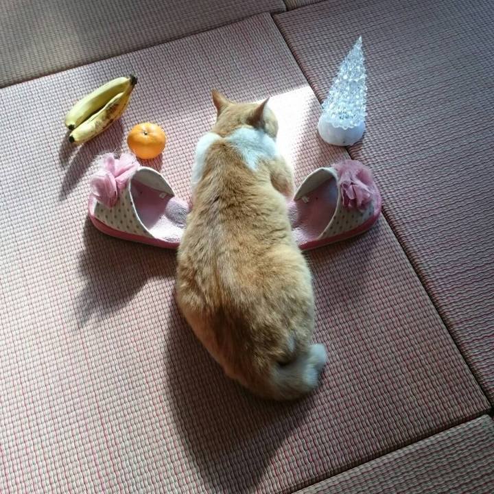 91c9acac 5423 4860 8f65 d87ec45565be