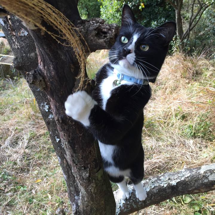 91ca30de 5ac4 4bba 87fc 0157eb0f2560