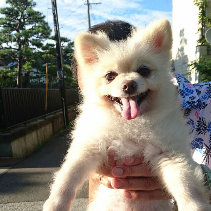 91caf4b1 3d7c 4189 9c0c 87cdf51e908d