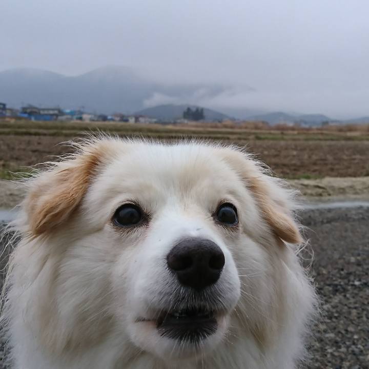 91cb0b22 a311 4d77 a4f6 069d64c152a2