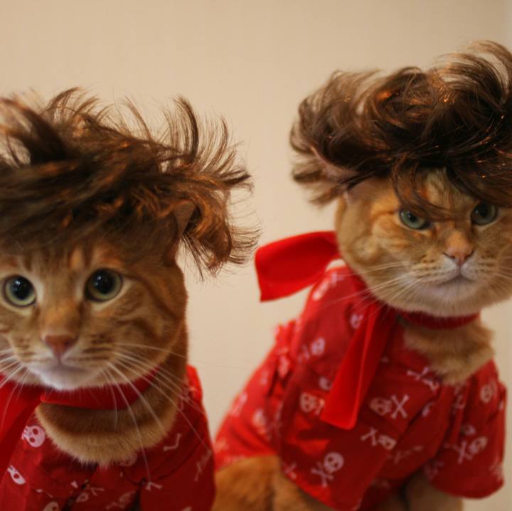 91cb674e 9167 42d4 835a c1d5df6c1025