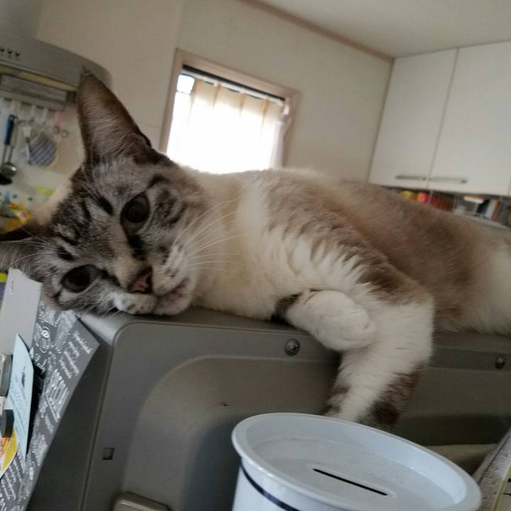 91cb94d4 711b 41a0 841d d64f59d4bd2e