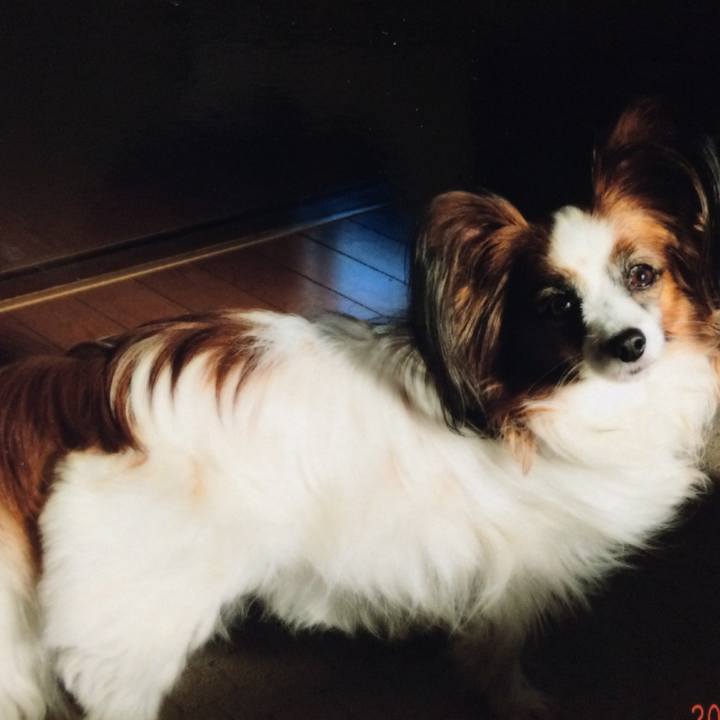 91cba9a0 6c50 495f b78f 8061d28dccaa