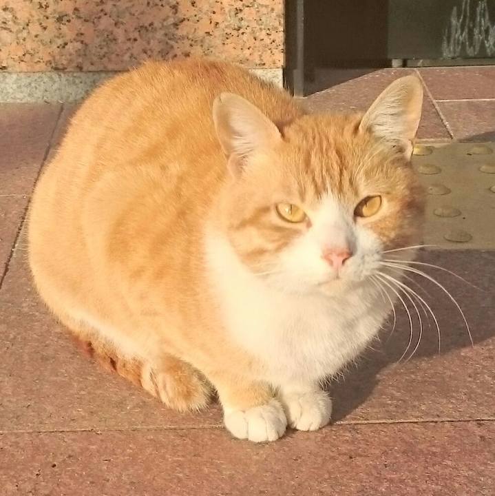 91cc210e bb76 4d23 970d 022300397ee6