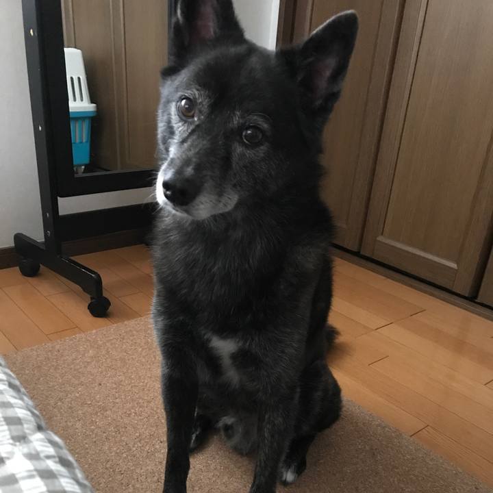 91cc9ec7 0eca 4bfd 8796 f7a61ffeb139