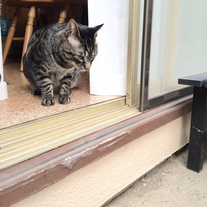 91cce2d0 ec39 4e5a 8bf2 a0003bf6f3fb