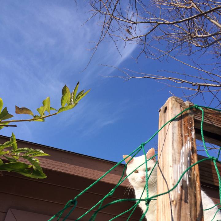 91cecec2 7592 4721 a701 25acd0de54b3