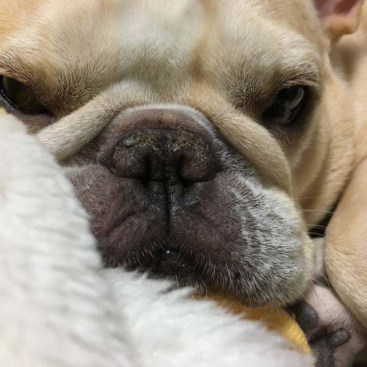 91cef442 494e 487d a150 81d5f041f4ef