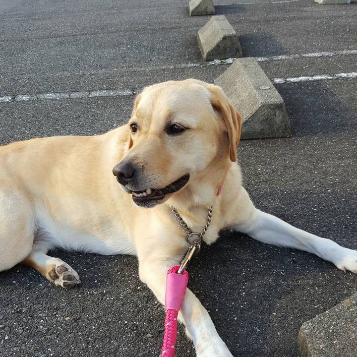 91cf8dd0 90b6 4c7f 8bd8 20f04f5e4089