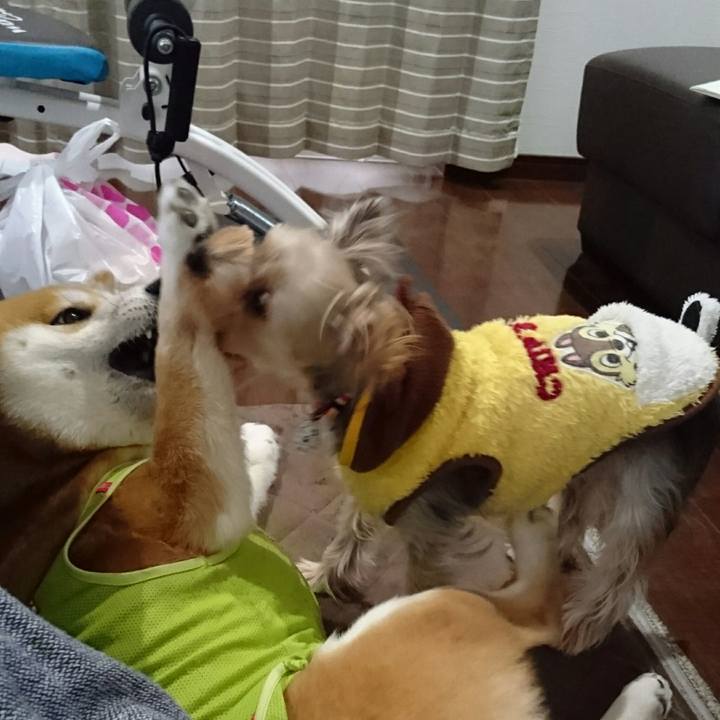 91cfb323 023f 4d74 b3c8 cb036e3fcbd6