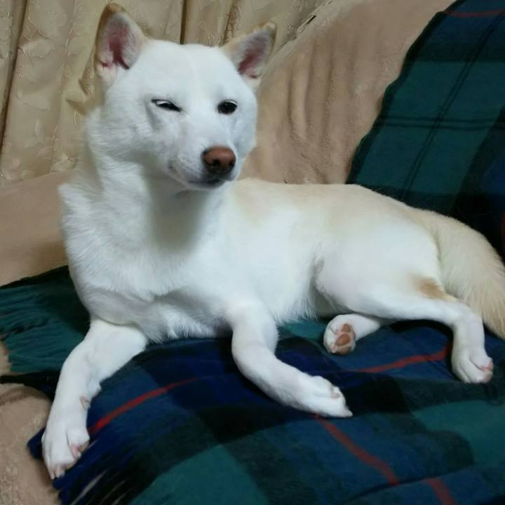 91d03f95 a22b 4e13 9b3d c6434f3502e8