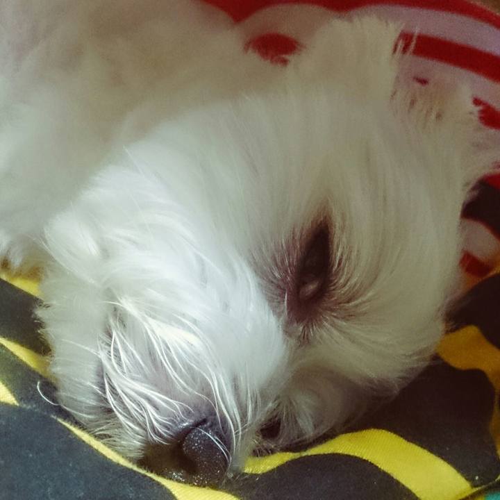 91d051d7 d6b4 4e3e b290 e22cf53d5921