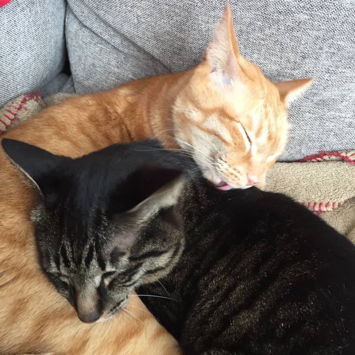 91d08147 862b 4bdc 880f de059fb190e0