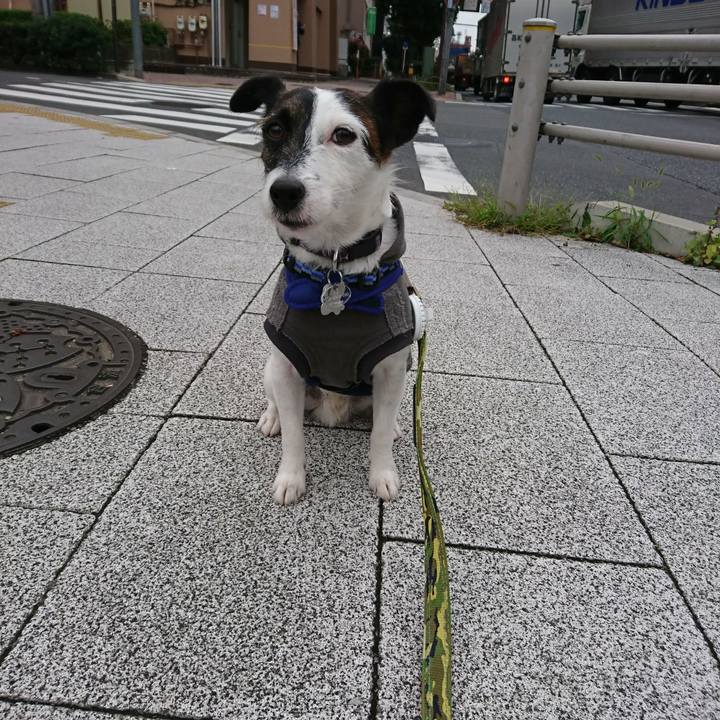 91d0f91a 6d16 46b0 adc1 c90717f1c2b9