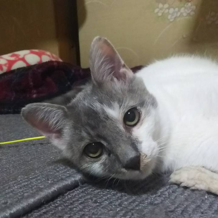 91d230e4 bb00 4cb3 8153 d8ead6881275