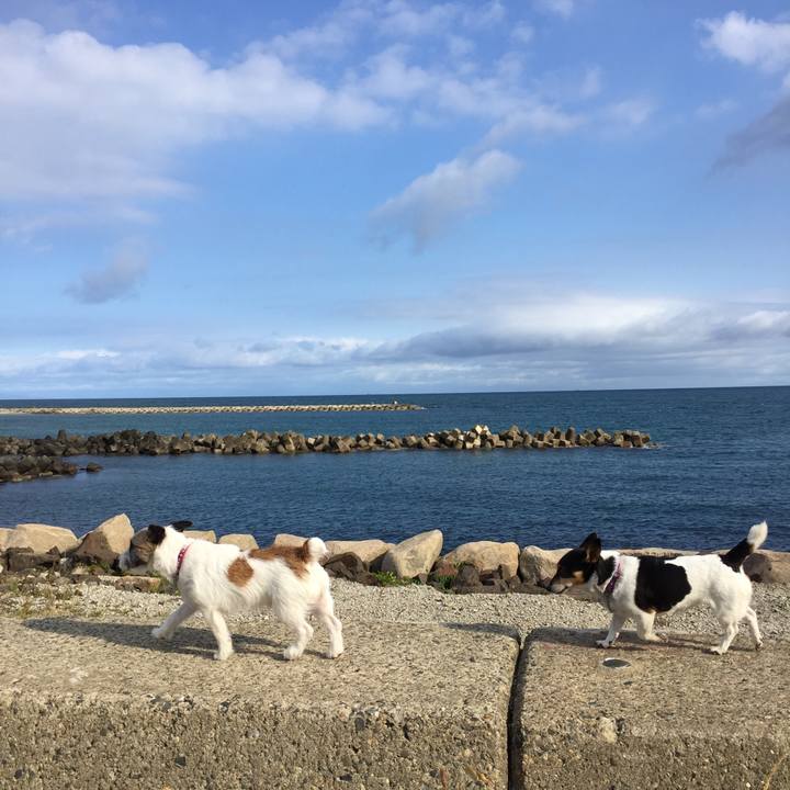 91d23fbb 964c 4c27 b16b 391acef283f3