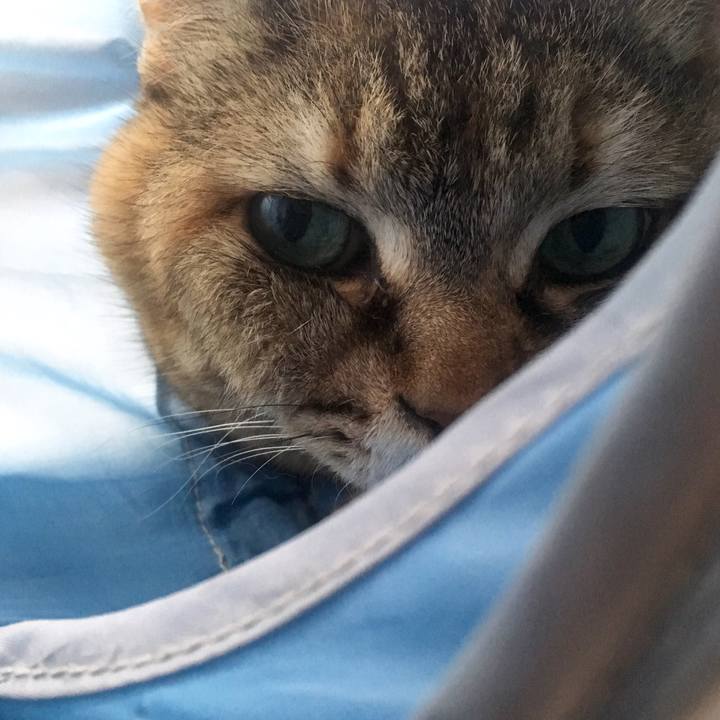 91d24467 ee23 49d1 b099 c0c5b2ad6b1e