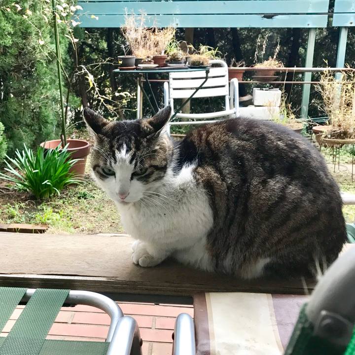 91d2837f 0d3b 4765 bf9f f609ff84f31f