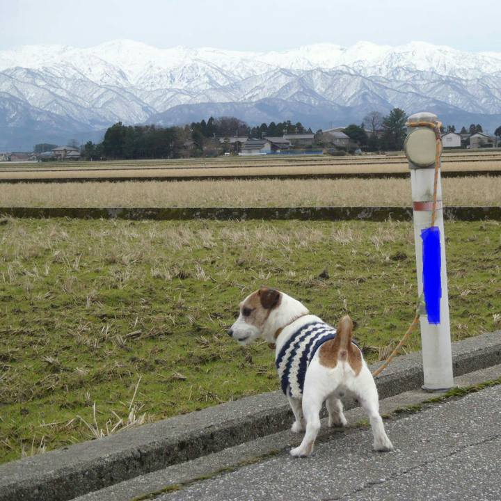 91d28b57 4974 4585 9579 f720f236ea99