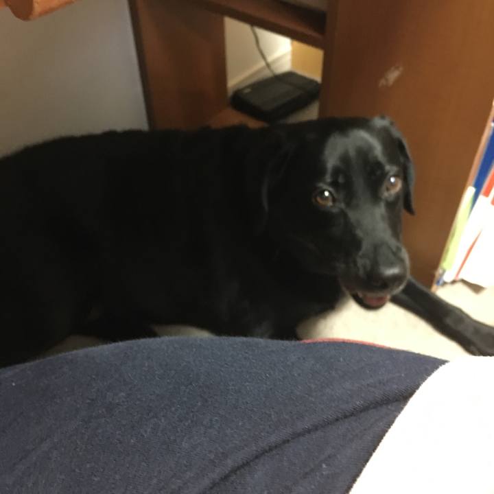 91d295bc e960 419f 8e8f 69f102e3927f