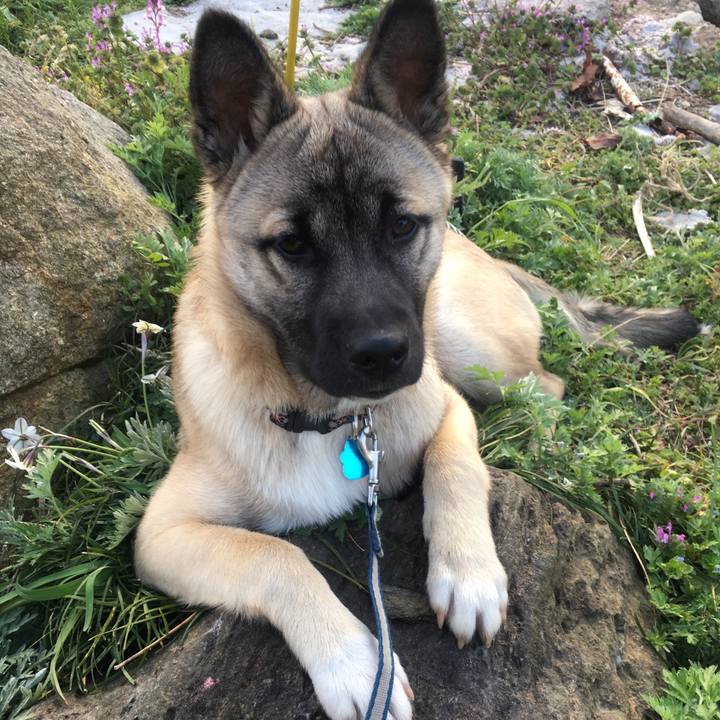 91d29ae8 6ec9 492e 8a58 fb41a57c099c