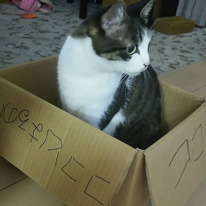 91d2de62 88d4 4010 b84f d50794263452