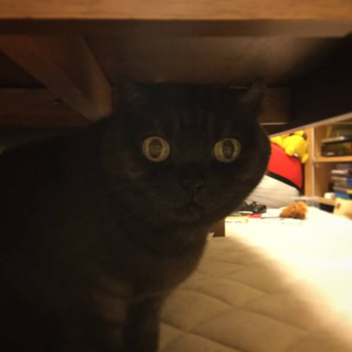 91d36a13 aa15 4af0 b821 8453843d0bcc