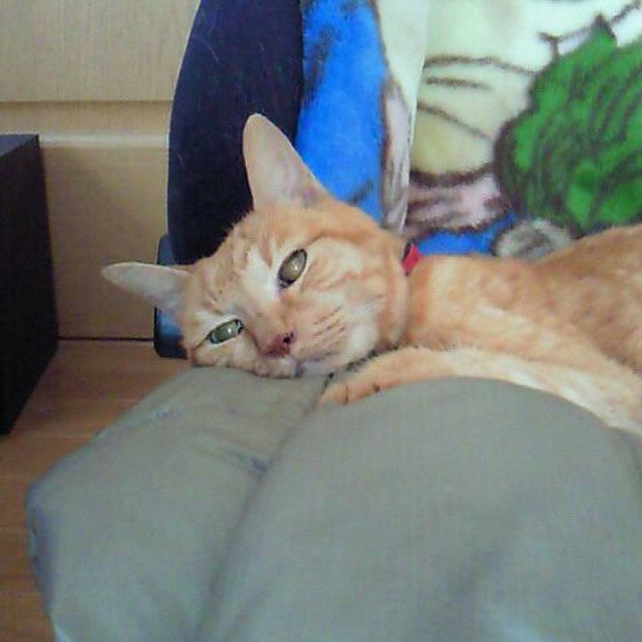 91d38c96 5d05 4e4d 8f91 dc6948e6f5ff