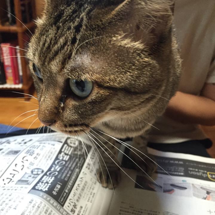 91d411b8 64e8 40ad a879 95d4c68b3ce7