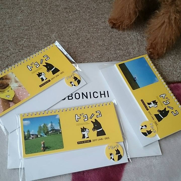 91d4729b d830 4c06 a490 e17baa08e801