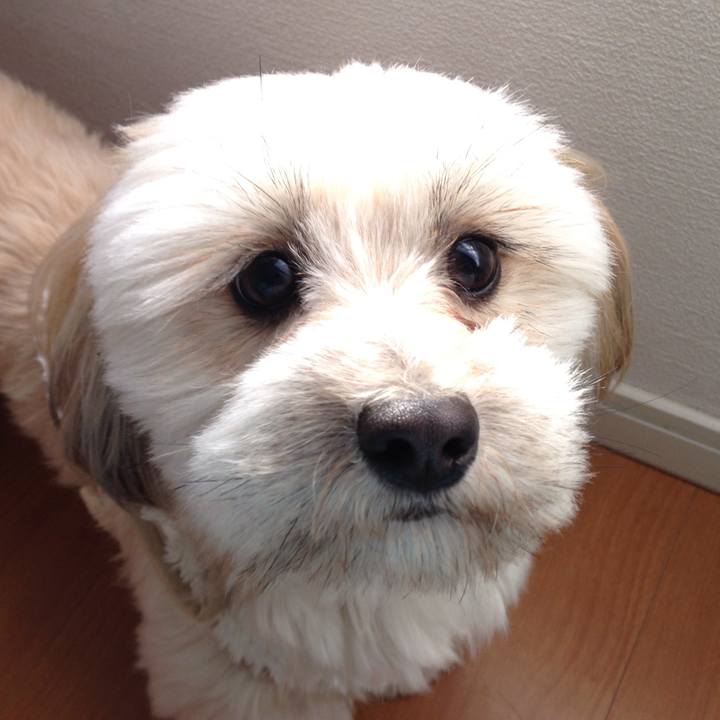 91d48e2c c4bd 405c 842c 5f33da38b0ce