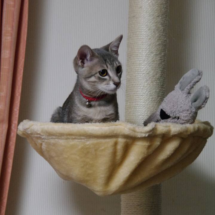 91d4d2b5 d6cd 466c 87bd 8f751737fc85