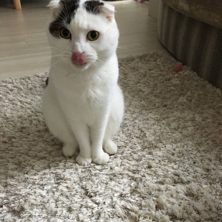 91d51f9b 8517 46be 9c64 056ffb0f460f