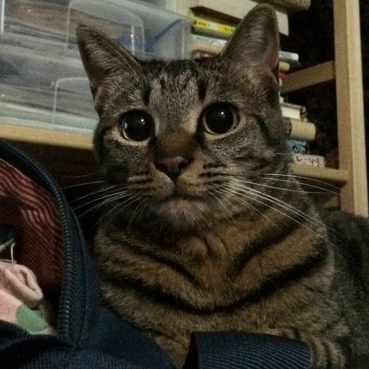 91d5c8ec 3c9e 48d0 96c6 41c7941370cd