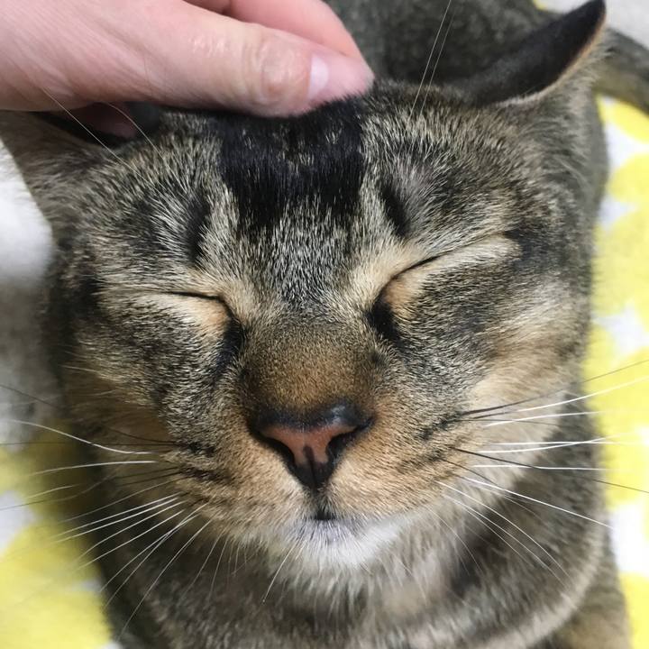 91d65334 28ac 482a 8d4f c3a46faa19f2