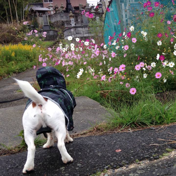 91d66afb 1582 41c3 b1e5 bf87ade10bbb