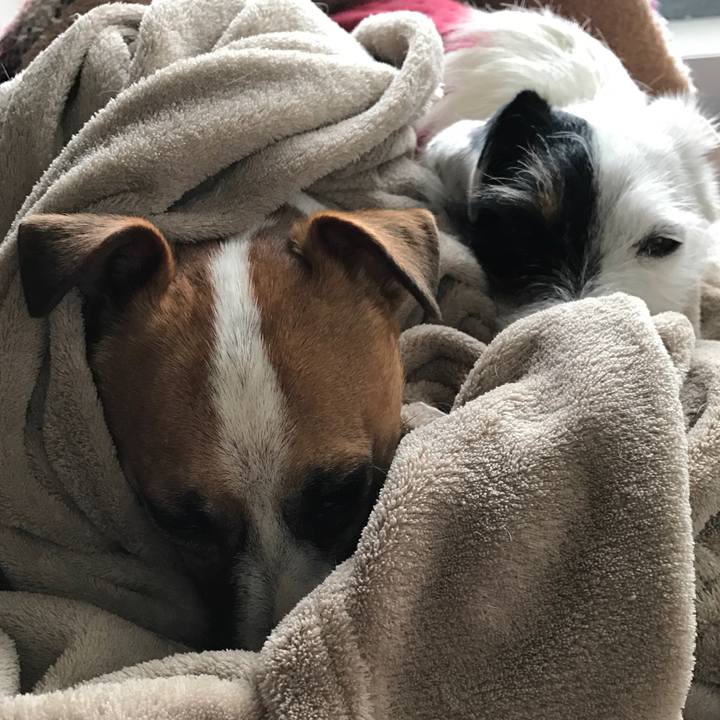 91d73e74 bcd4 471f 986e be5d2b58fbff