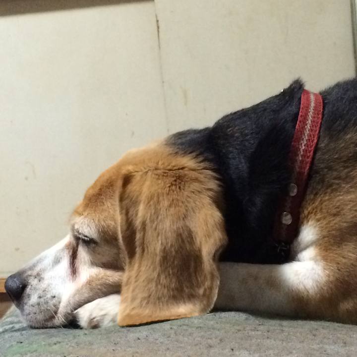 91d79e55 eb31 4854 8bc2 c39a38c5b218