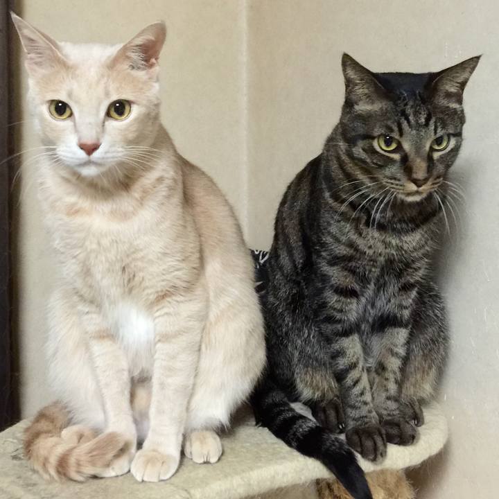 91d82c6a 2c34 4911 9c3a 619c8c3b494e