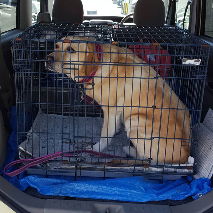 91d836ac 31dc 49e7 9dcc 5daa52decf38