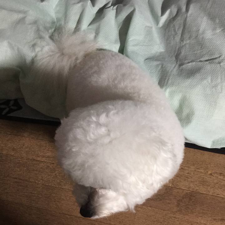 91d86cba a10b 4b1f 8870 a9d2ae48cc0b