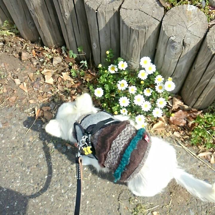 91d8ce5b 29a4 41dd 8bc8 545849c35a53