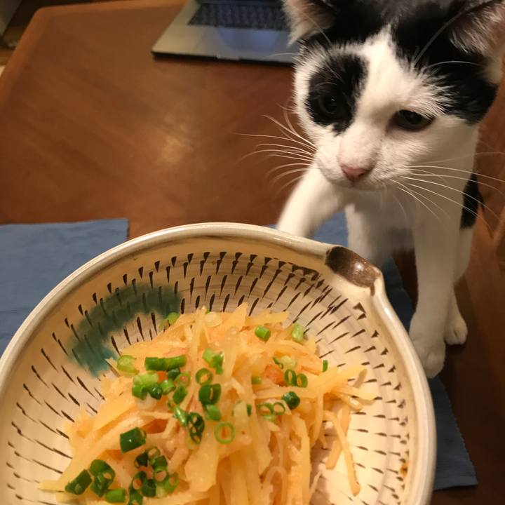 91d917d3 08c9 40a9 bb42 fc410d1cdfed