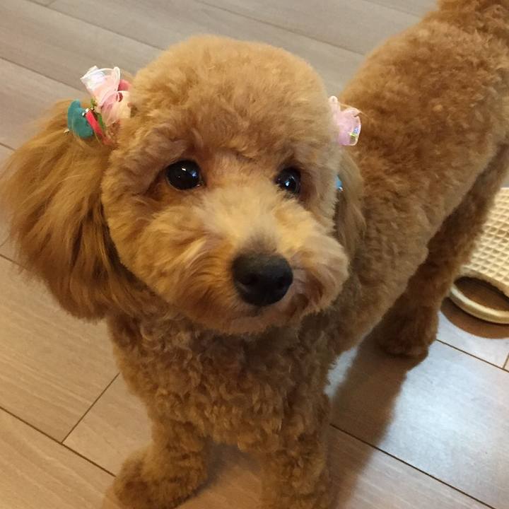 91d9288a 8627 42be b13f 1b7696841913