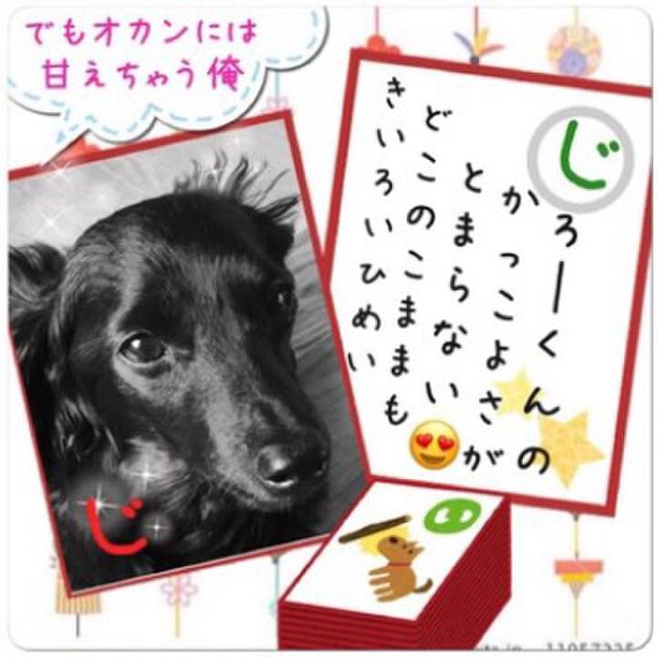 91d95999 aa4f 4f12 ad9c 7f9d903bf3b6