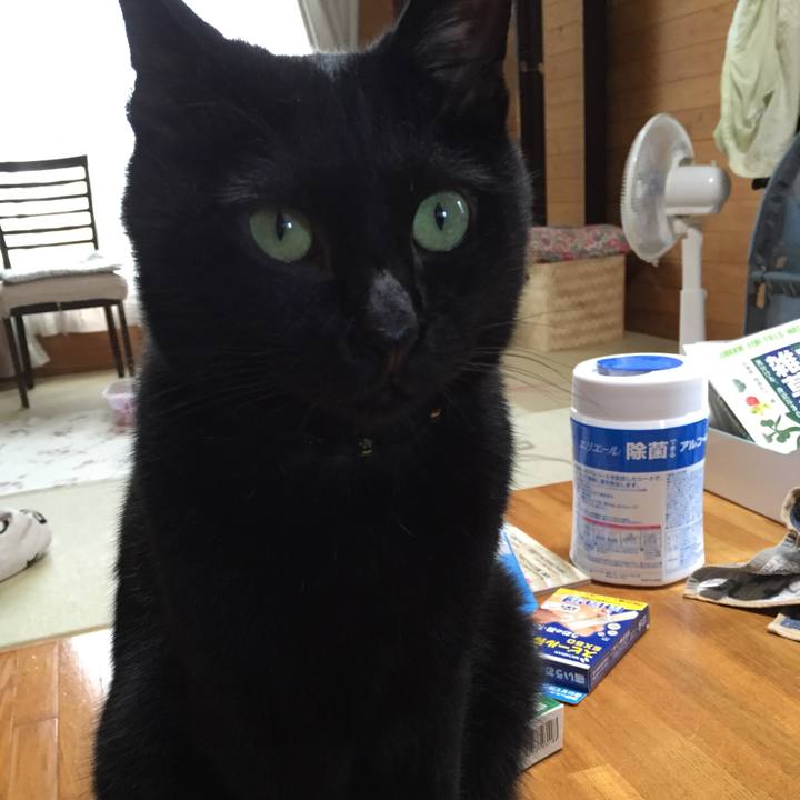 91d95fa7 2262 4945 9553 2b96a8b2acaf