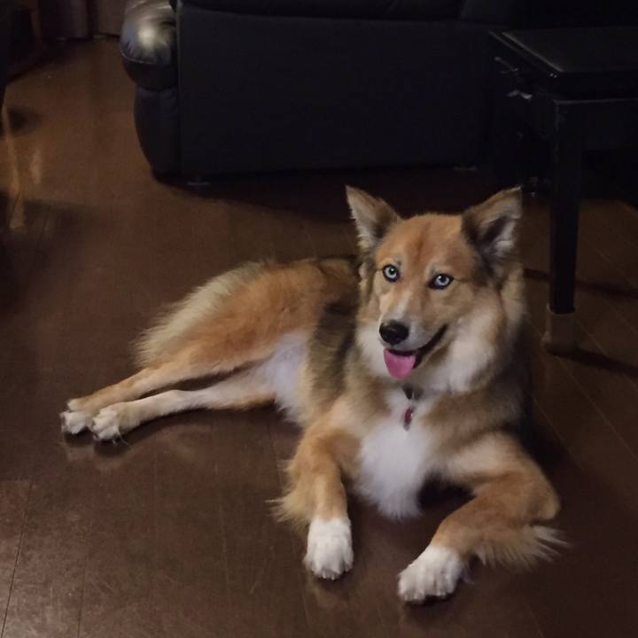 91da3678 01a2 4c79 b6b3 685c42c2f7e5