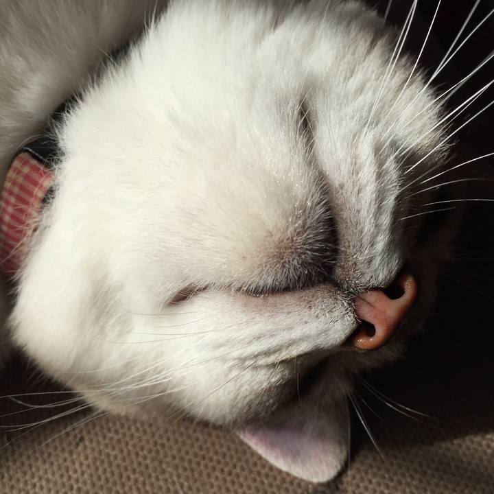 91dac93e 5543 4058 a9a8 f122d436844c